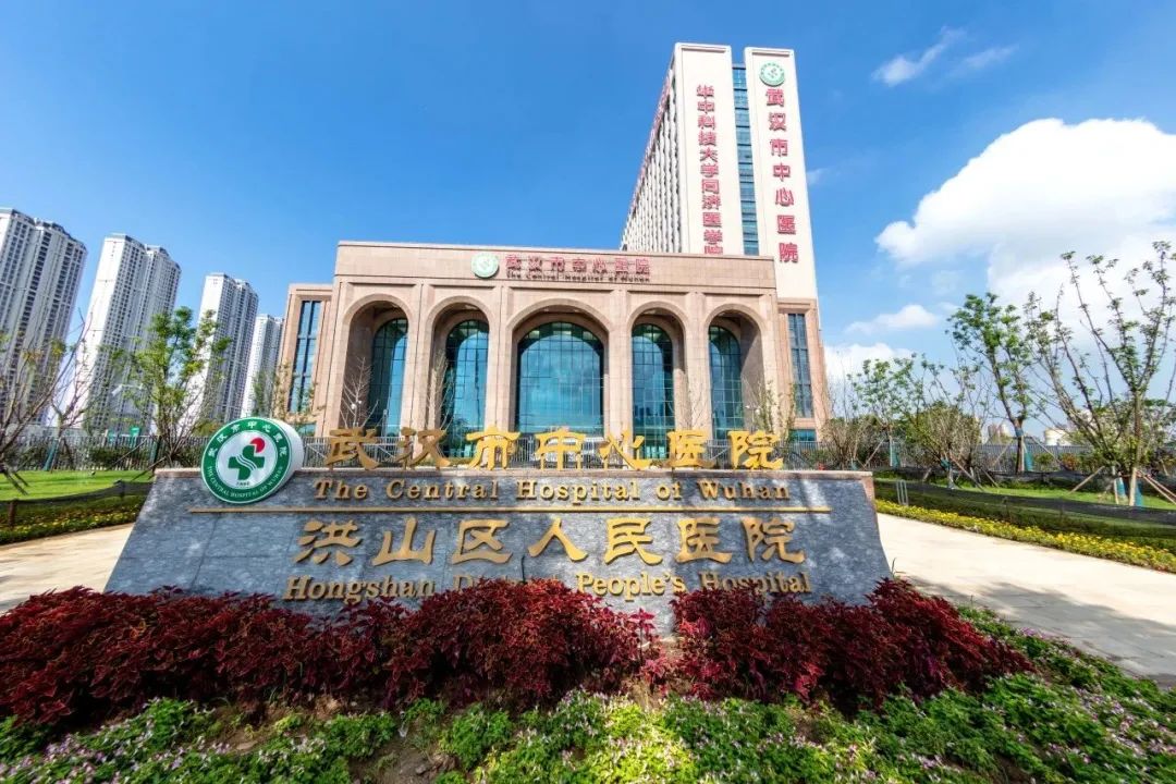 案例分享 | 數(shù)字賦能讓就診體驗煥然“醫(yī)”新——湖北省首個“數(shù)字孿生智慧醫(yī)院”
