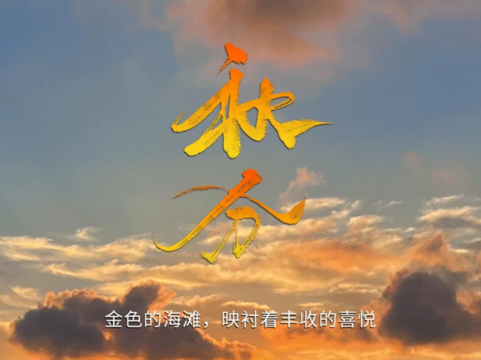 秋分 | 金色的海灘，映襯著豐收的喜悅