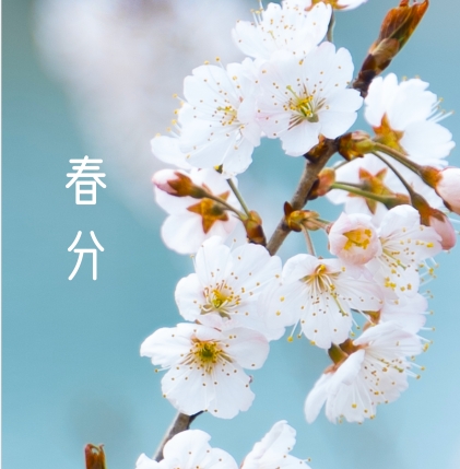 今日春分 | 一半春色入心，一半春色予你，一程春暖花開，一路春風(fēng)得意
