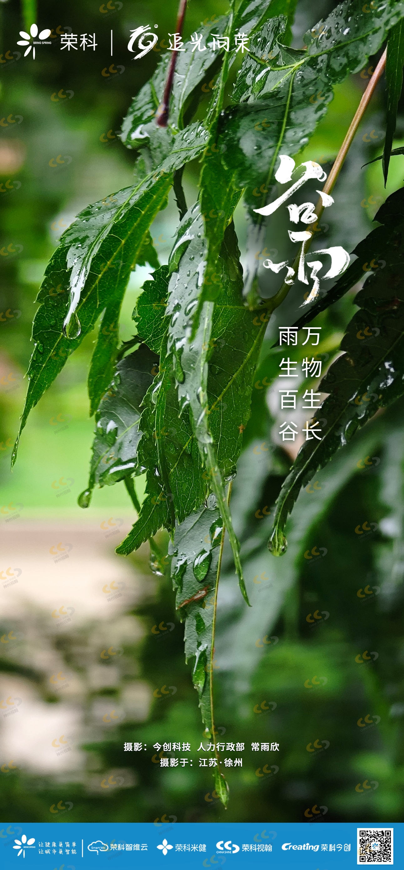 今日谷雨  雨生百谷 萬(wàn)物生長(zhǎng) .png