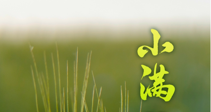 今日小滿 | 萬物豐茂，綠色滿『榮』  碩果待結(jié)，智慧盈『科』